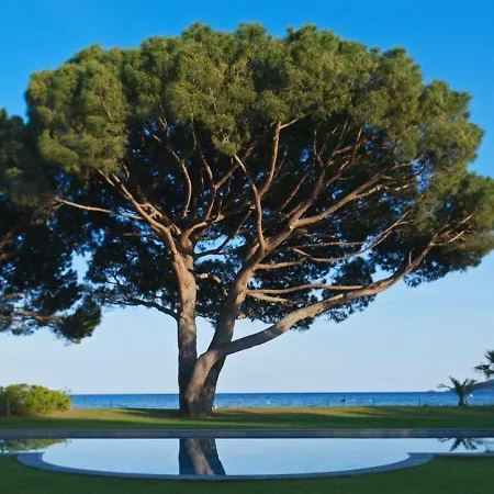 Etoile * Saint-Tropez